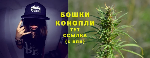 трава Надым