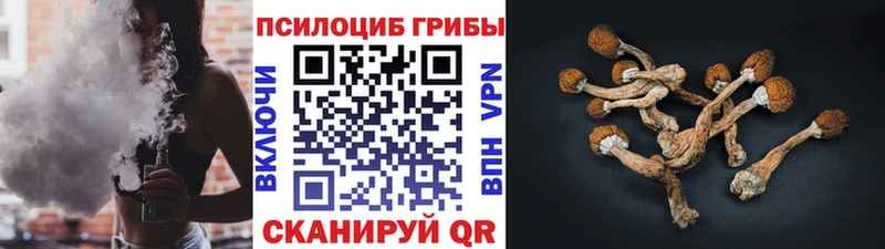 blacksprut как войти  Норильск  Псилоцибиновые грибы Cubensis  закладки 