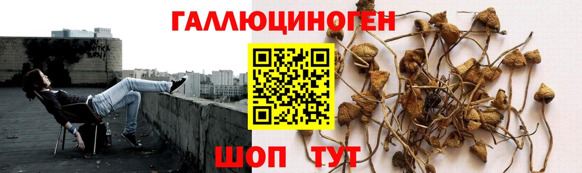 Псилоцибиновые грибы MAGIC MUSHROOMS Норильск