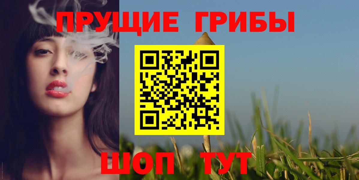 дарнет шоп  Норильск  Псилоцибиновые грибы мицелий  Галлюциногенные грибы ЛСД 