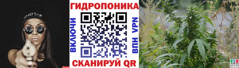 даркнет официальный сайт Норильск Конопля VHQ